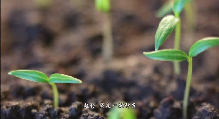 圖片2